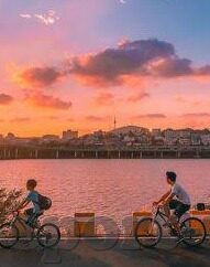 怎么买足球比分彩票-足球比分彩票购买全攻略，理性参与，智慧选号